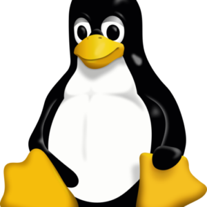 Linux penguin